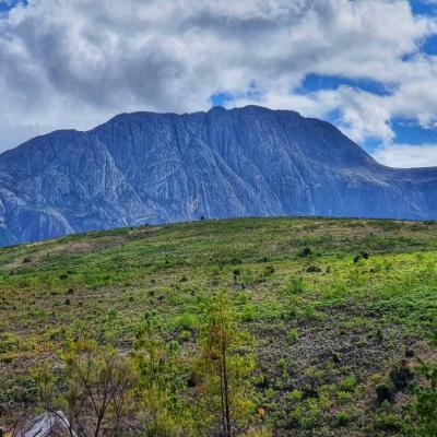 Fb Img 1657524506303